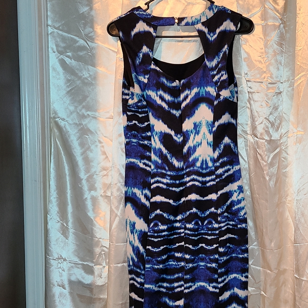 Jlo Dress - Picture 3 of 3